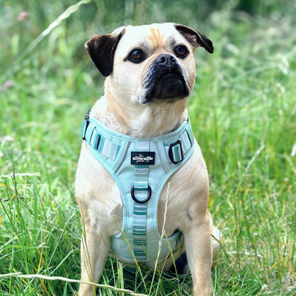 Hike & Go™ Harness - Hint Of Mint