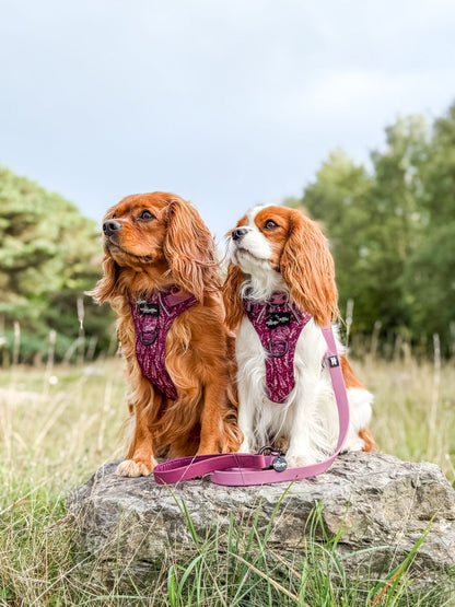 HydroFlex™ Two-tone Waterproof Dog Lead - Mauve