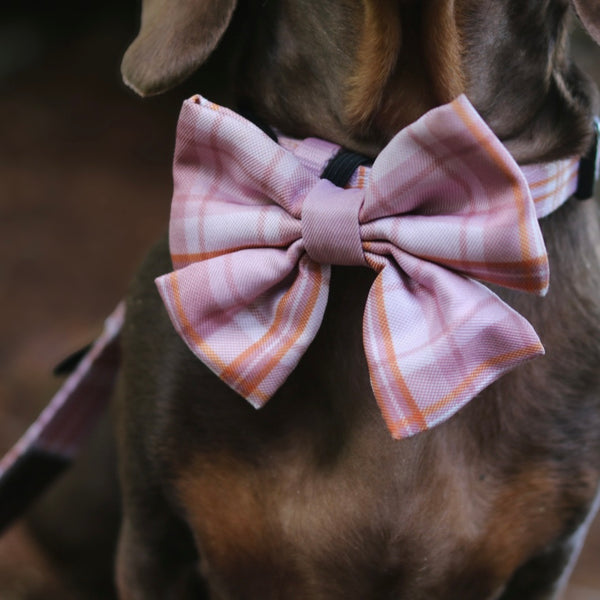 Heritage Sailor Bow Tie - Strawberry Cottage