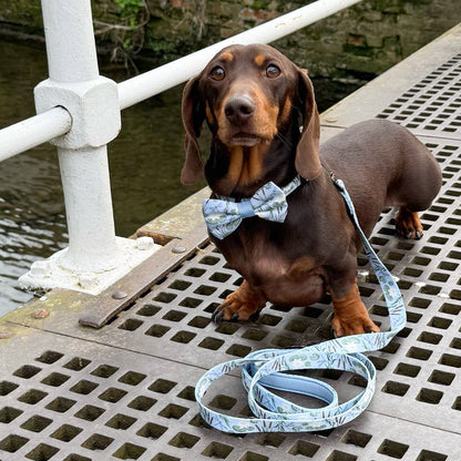 Dog Dickie Bow Tie - Willow Waters