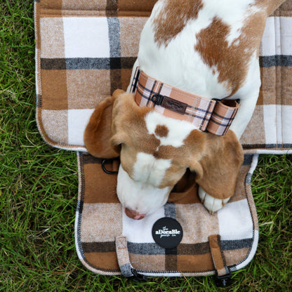 Heritage Martingale Collar - Butterscotch Biscuit