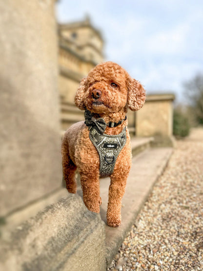 Laura Ashley Dog Harness - Sweet Alyssum