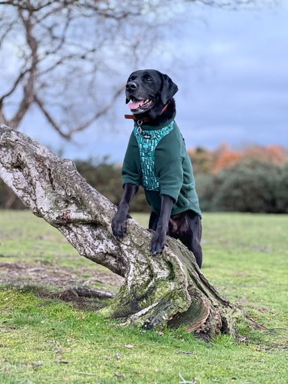 Hike & Go™ Harness - Woodland Walks