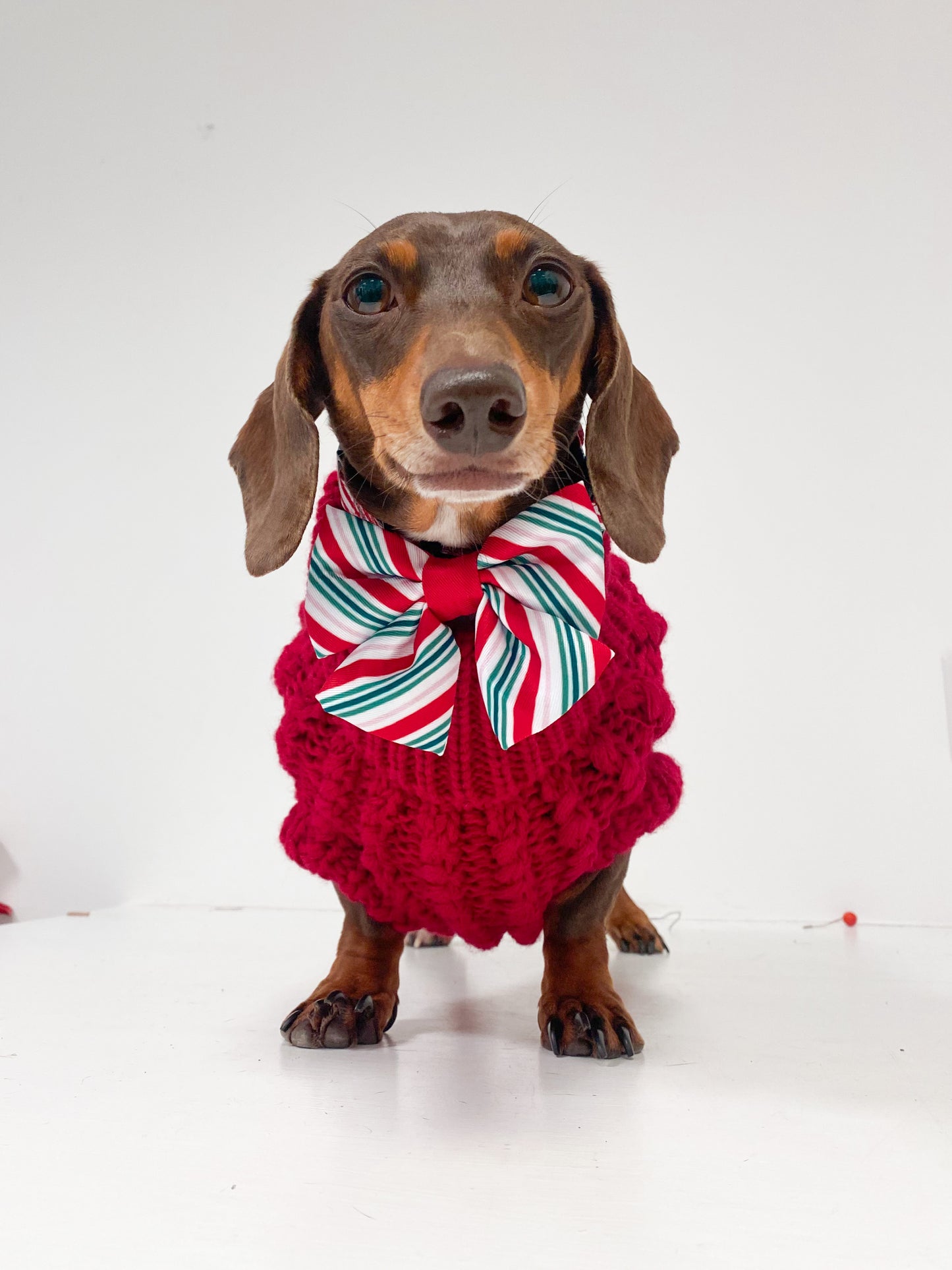 Hand Knitted Dachshund Jumper - Berry Red