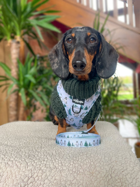 Hand Knitted Dachshund Jumper - Spruce Green