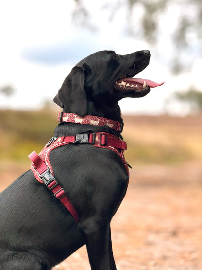 Collar - Winter Fawn