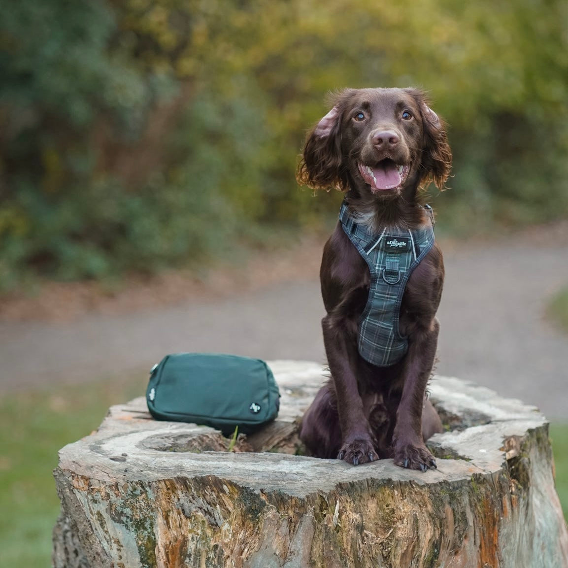 Hike & Go™ Harness - LUXE Hunter Green Plaid