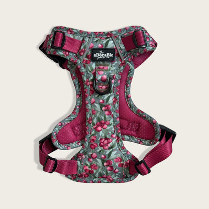 Hike & Go™ Harness - Crab Apple Cottage