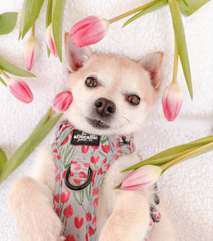 Hike & Go Lite™ Harness - Timeless Tulips