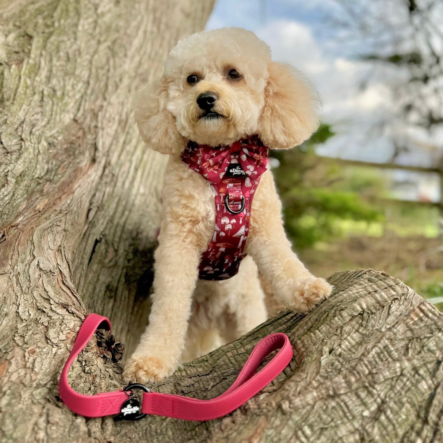 HydroFlex™ Two-tone Waterproof Dog Lead - Mulberry