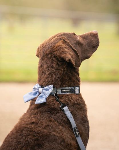 Laura Ashley Dog Collar - Shepherd's Purse