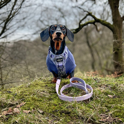 Hike & Go Lite™ Harness - Wisteria Waltz