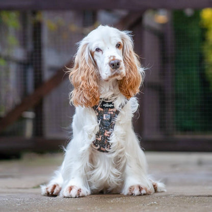 Hike & Go™ Harness - Nature Trails