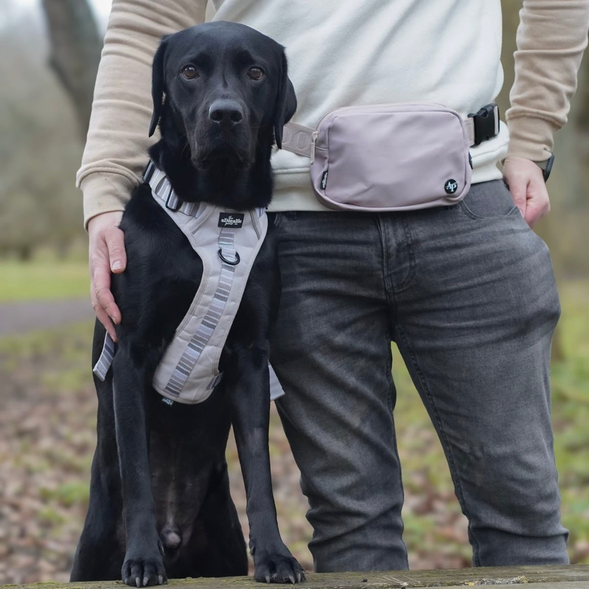 Slimline Everyday Bumbag - Beige