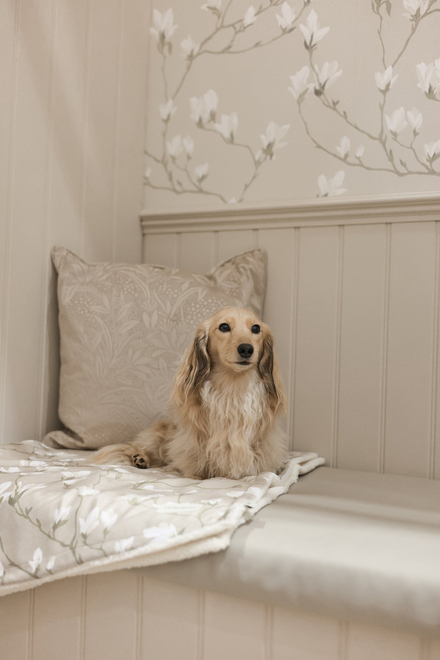 Laura Ashley Dog & Puppy Bed Blanket - Magnolia Grove