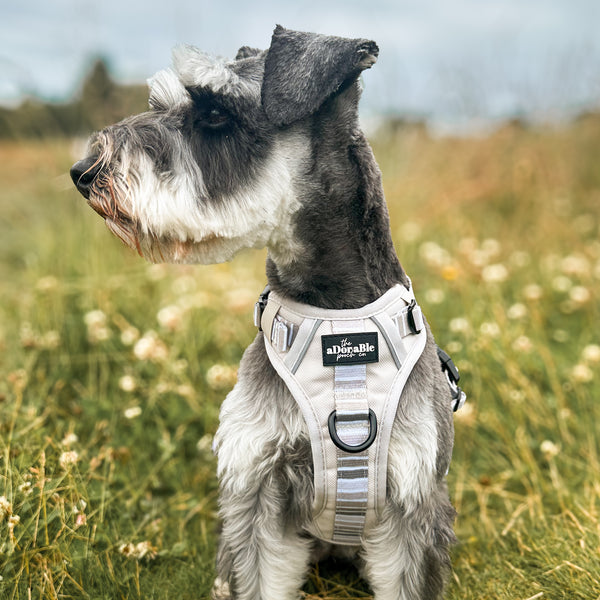 Hike & Go™ Harness - Coconut Cream