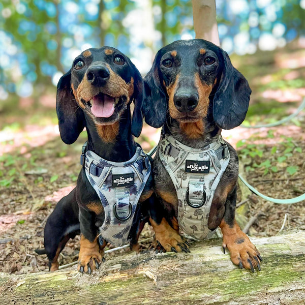 Hike & Go™ Harness - Fresh Pines