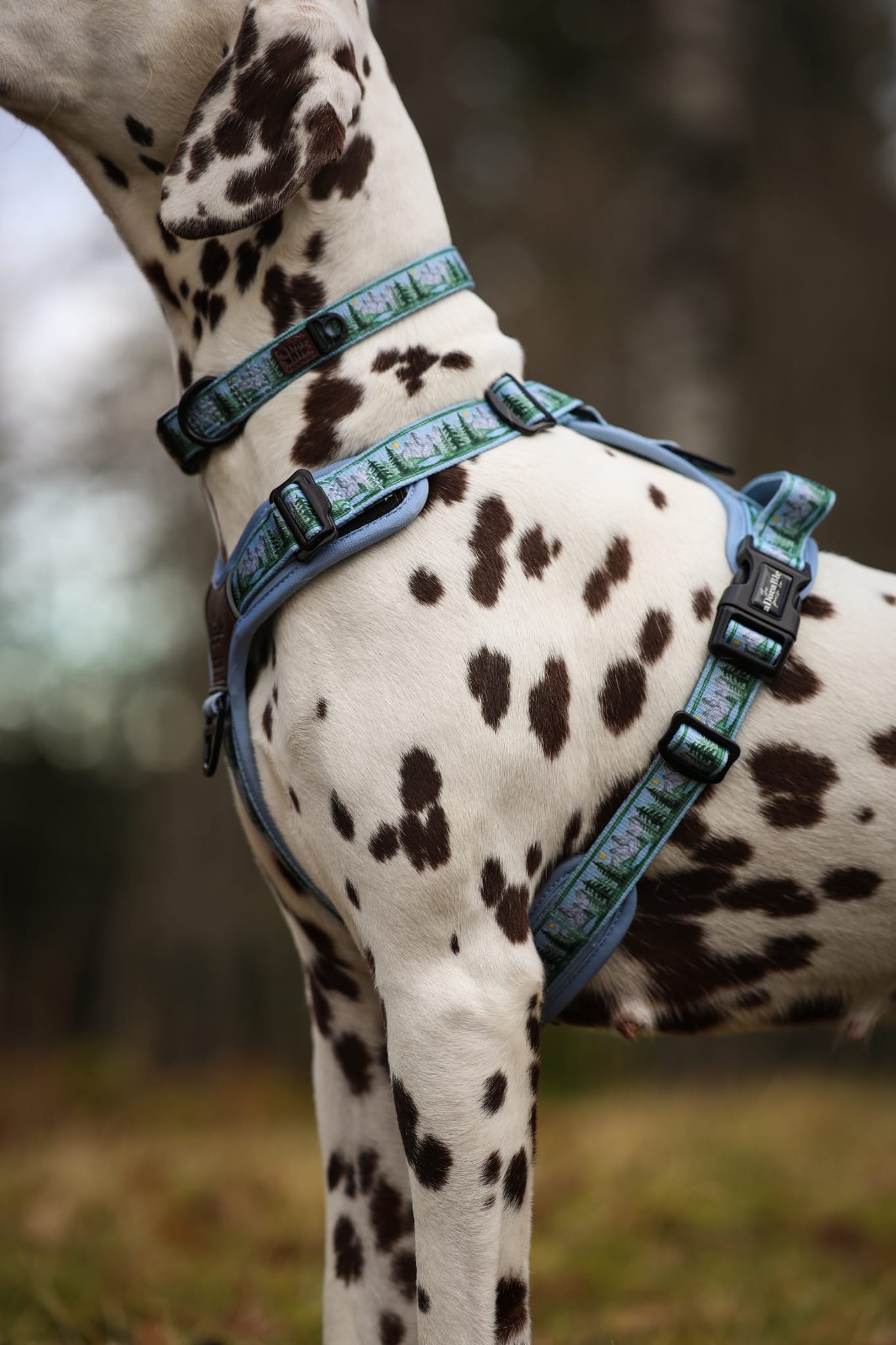 Streamline Pro™ Dog Harness - Daydream Heights