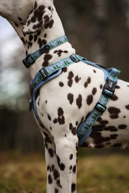 Streamline Pro™ Dog Harness - Daydream Heights