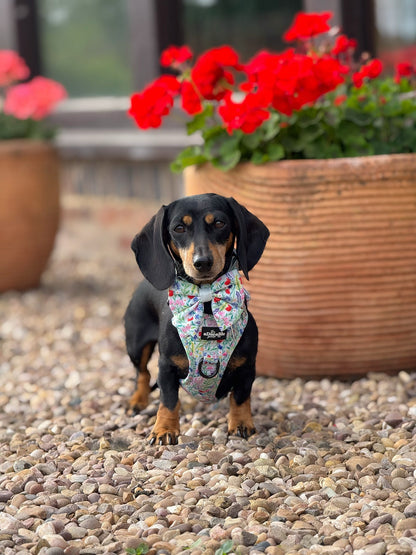 Hike & Go Lite™ Harness - Wildflower Meadow