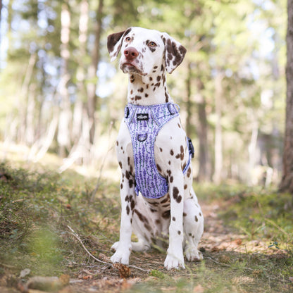 Hike & Go Lite™ Harness - Lavender Haze