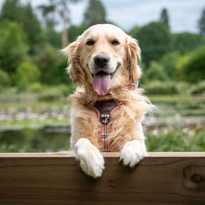 Streamline Pro™ Dog Harness - Heritage Collection - Butterscotch Biscuit