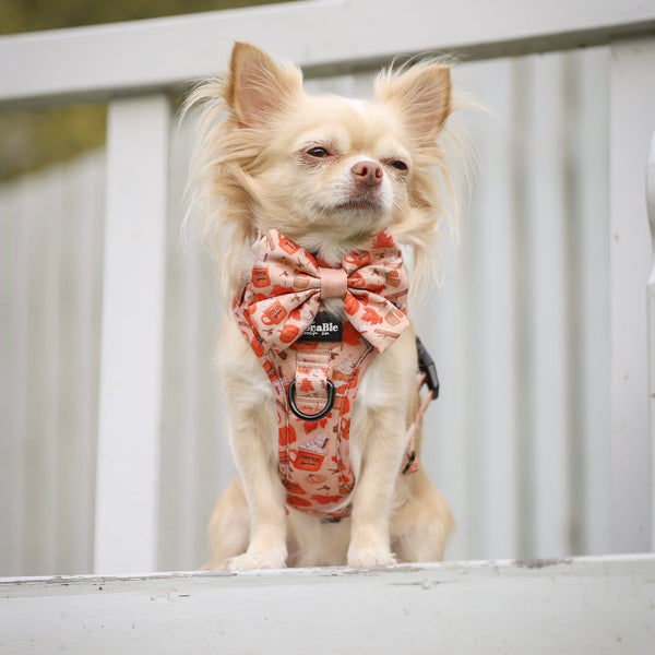 Sailor Bow Tie - Pumpkin Harvest