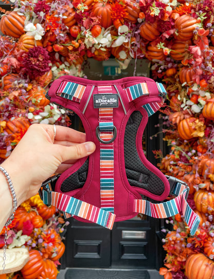 Hike & Go™ Harness - Mulberry Mist