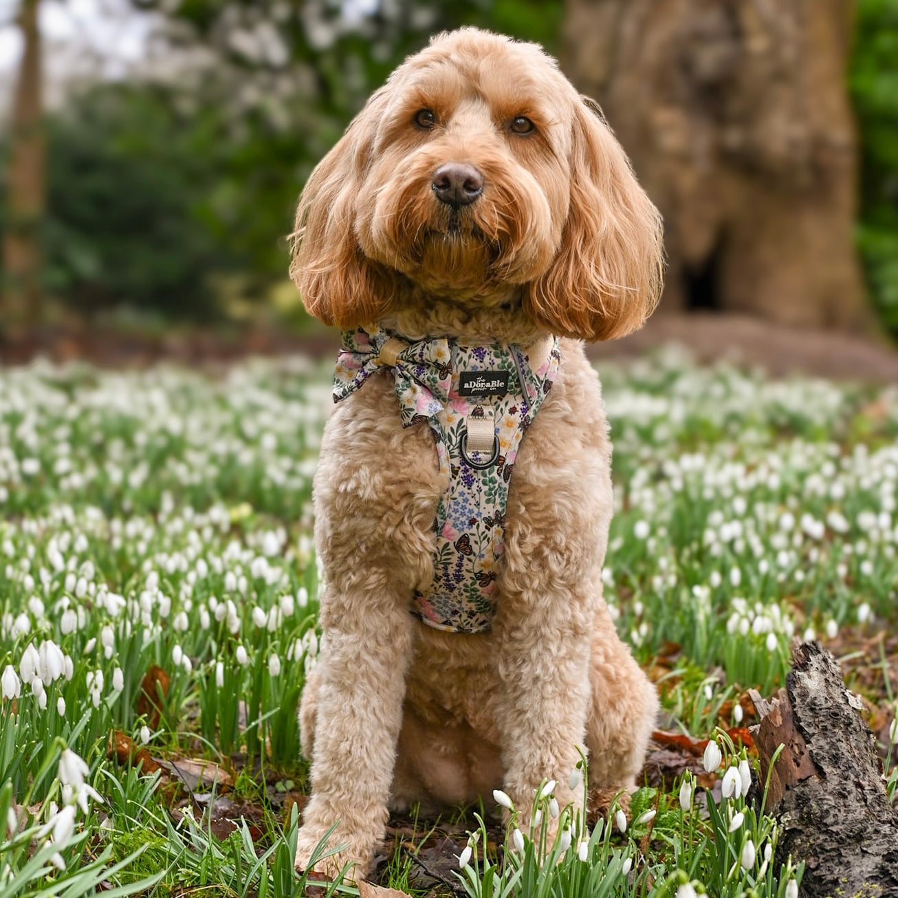 Hike & Go Lite™ Harness - Bumbles & Butterflies