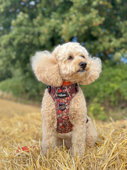 Hike & Go™ Harness - Foragers Forest