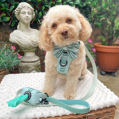 Hike & Go™ Harness - Hint Of Mint