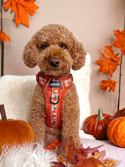 Hike & Go™ Harness - Pumpkin Fields