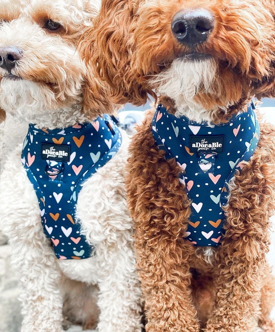 Adjustable Harness - Lots Of Love