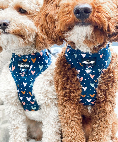 Adjustable Harness - Lots Of Love