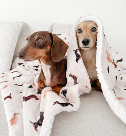 Supersize Soft Blanket - Watercolour Dachshunds