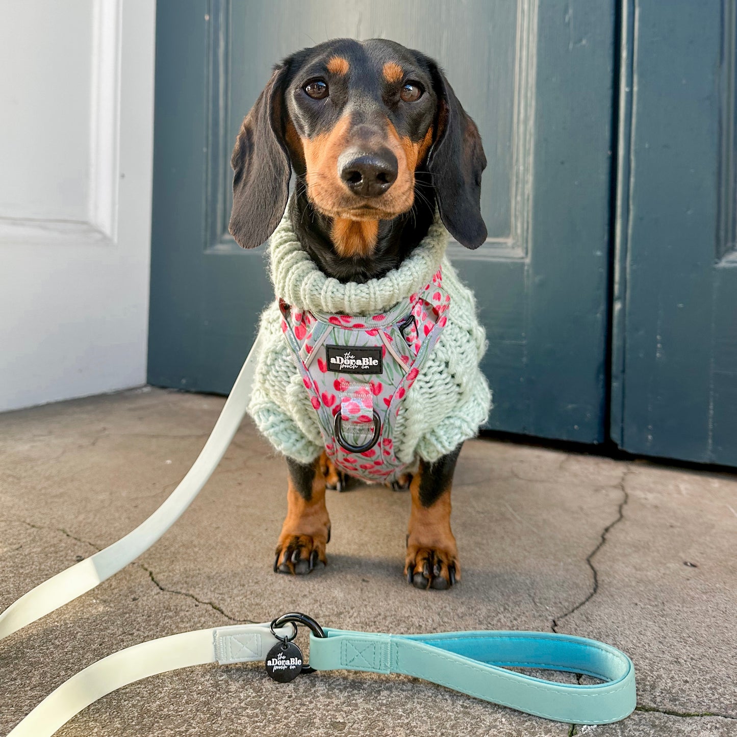 Hike & Go Lite™ Harness - Timeless Tulips