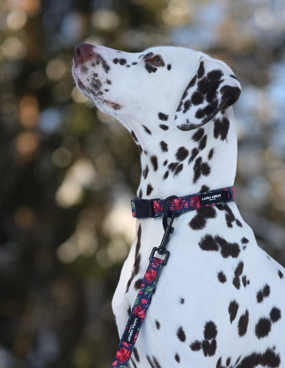 Laura Ashley Fabric Dog Lead - Gosford Meadow