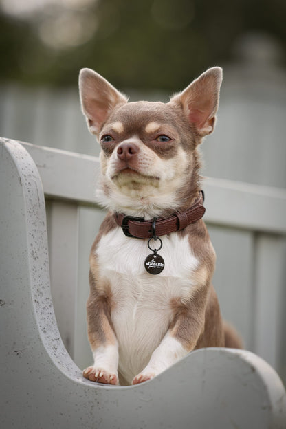 Heritage Faux Leather Dog Collar - Brown