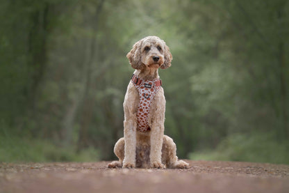 Hike & Go™ Harness - Pumpkin Farm