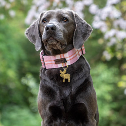 Heritage Martingale Collar - Strawberry Cottage