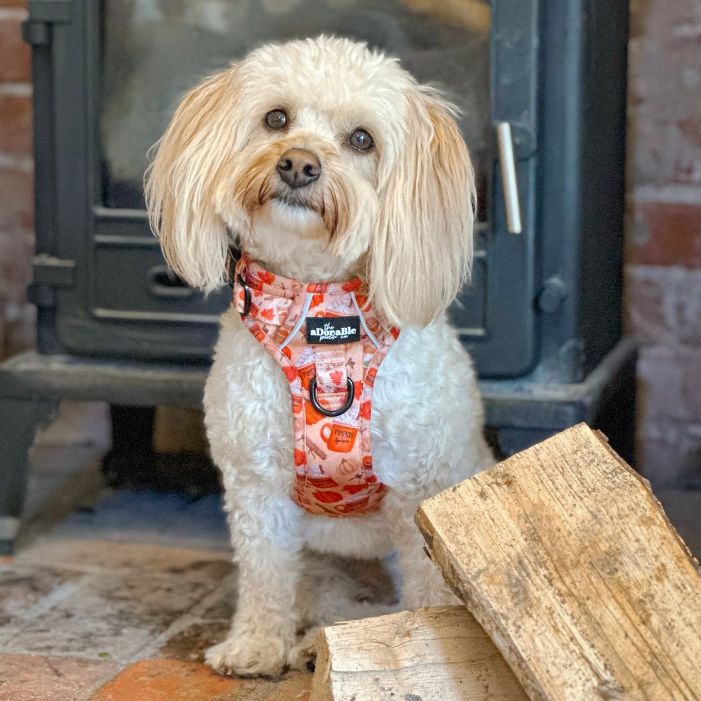 Hike & Go Lite™ Harness - Pumpkin Harvest