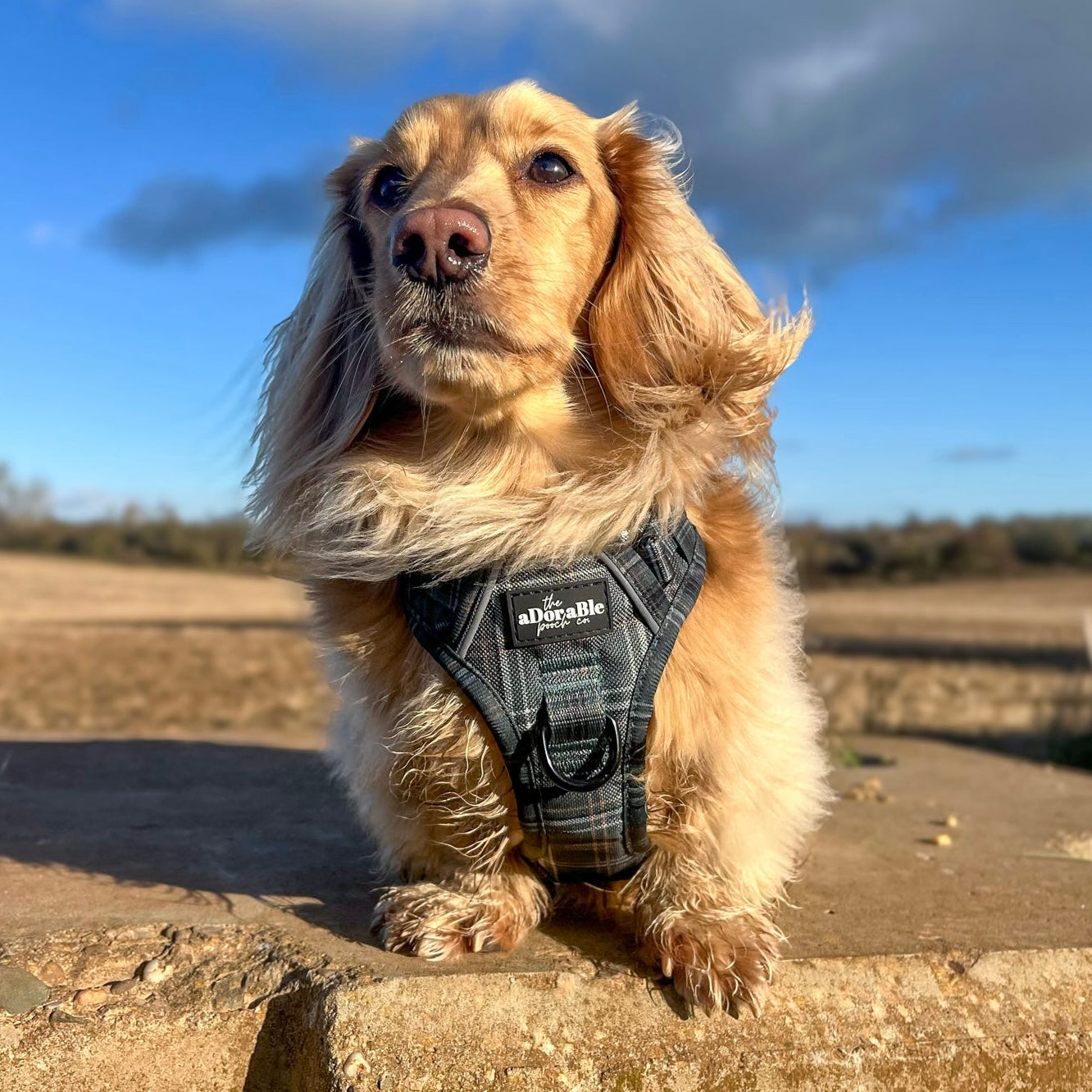 Hike & Go™ Harness - LUXE Hunter Green Plaid