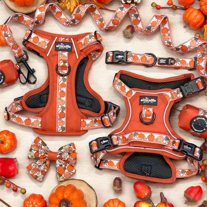 Hike & Go™ Harness - Pumpkin Fields