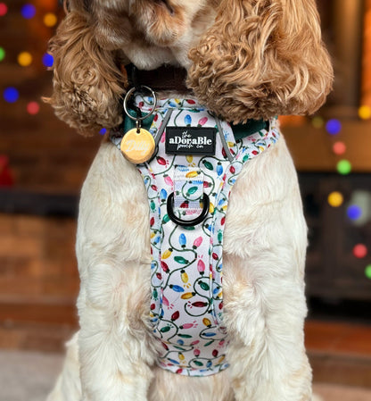 Hike & Go Lite™ Harness - Festive Lights
