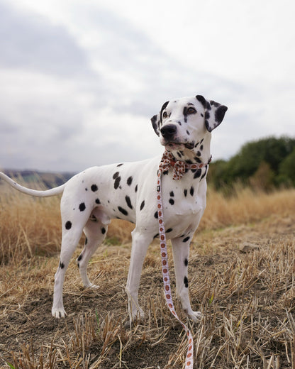 Dog Sailor Bow Tie - Pumpkin Farm