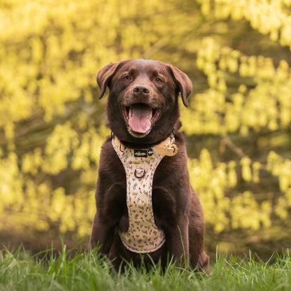 Hike & Go Lite™ Harness - Spring Garden
