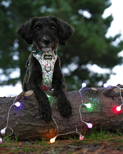 Hike & Go Lite™ Harness - Festive Lights