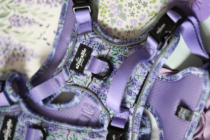 Hike & Go Lite™ Harness - Wisteria Waltz