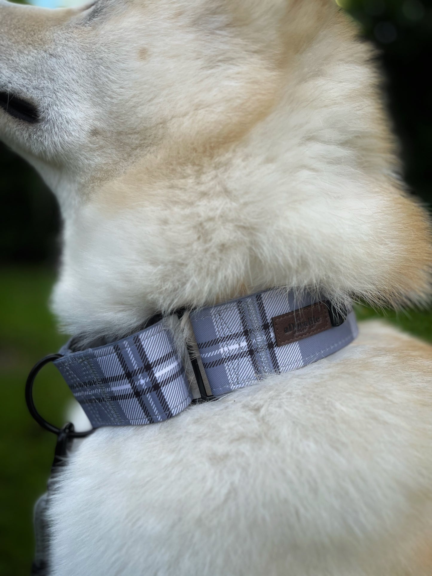 Heritage Martingale Collar - Gunsmoke Grey