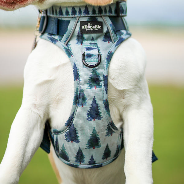 Hike & Go™ Harness - Fresh Pines